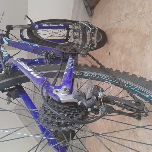 دوچرخه حتا گل های تایر سالم هست و یک سال 2سال کسی سوار نشوده است و چیز های مهم چرخ فابریک می باشد رنگ فابریک