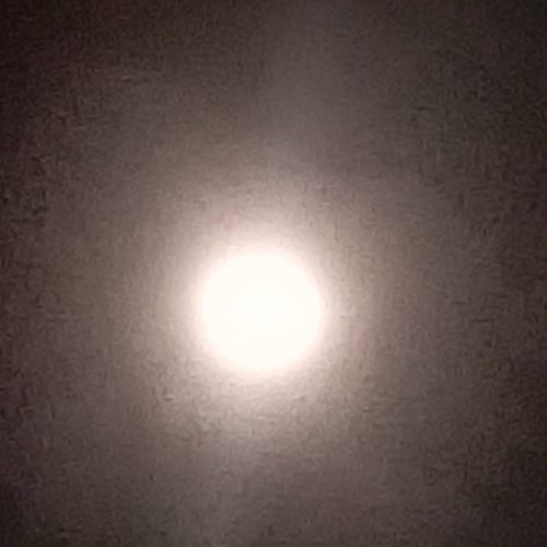 من نیاز به کار دارم