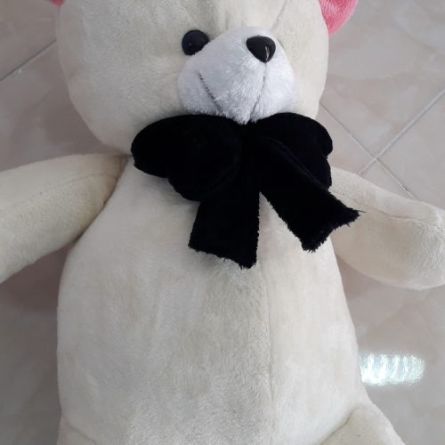 عروسک خرسی 1متری