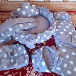 سیس مونی نوزاد