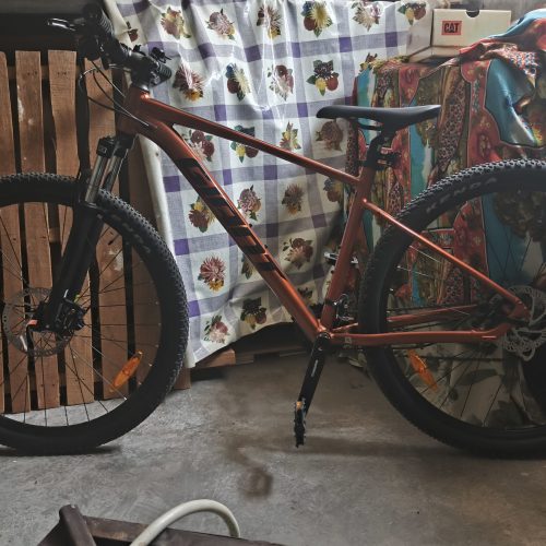 فروش دوچرخه حرفه ای جاینت تالون 3 سایز29