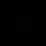 خرگوش لوپ بچه جنسیت نر