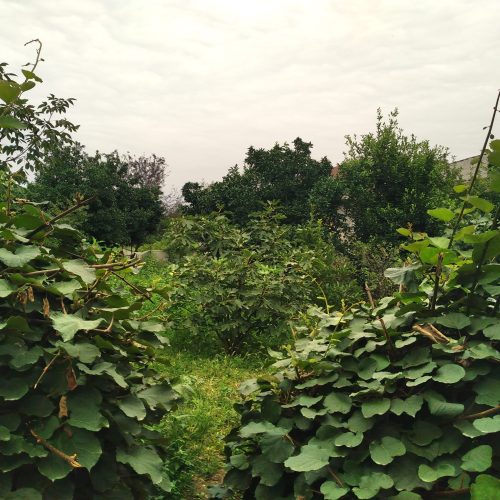 زمین بایک خانه ویلای تازه ساخت یه ویلا نیم ساخت فومن مسیر قلعه رودخان روستاه خسرواباد