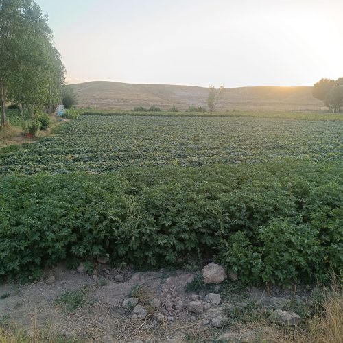 تبریز شهرستان بستان آباد