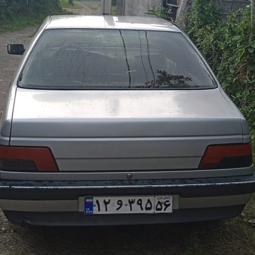 پژو 405 نقره ای 888