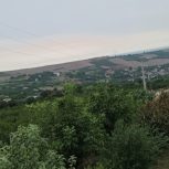 سه هزار متر باغ هلو