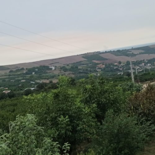 سه هزار متر باغ هلو