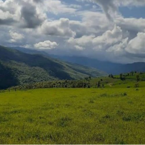 زمین مسکونی واقع در چهاردانگه ساری