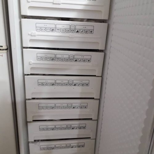 یخچال و فریز