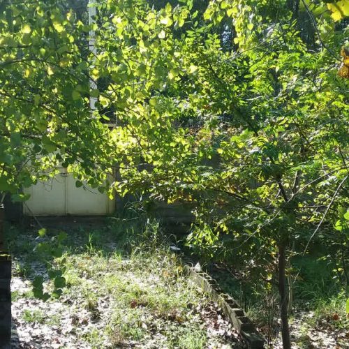 فروش ویلا فوری فروشی به خریدار واقعی تخفیف داده میشود