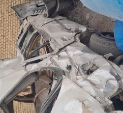 فقط متور ساله