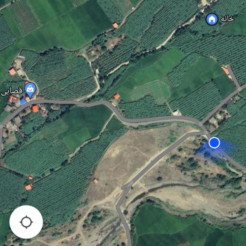 یک باغ کیوی به متراژ حدودن 1000 متر در روستای لمیر سفید سنگان که حدود 80 عدد کیوی داره