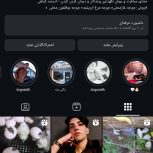 پرنده فروشی مبین