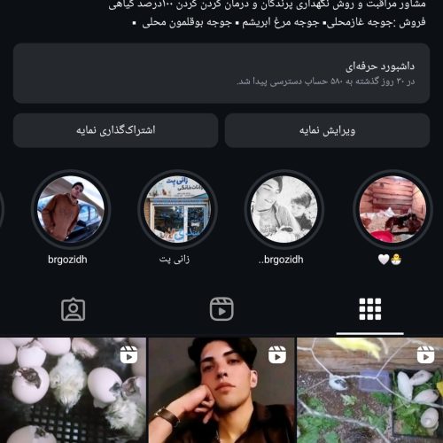 پرنده فروشی مبین