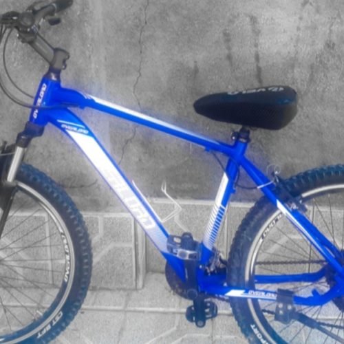 دچرخه اور لرد کوهستانی