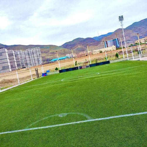 زمین چمن مصنوعی دانش