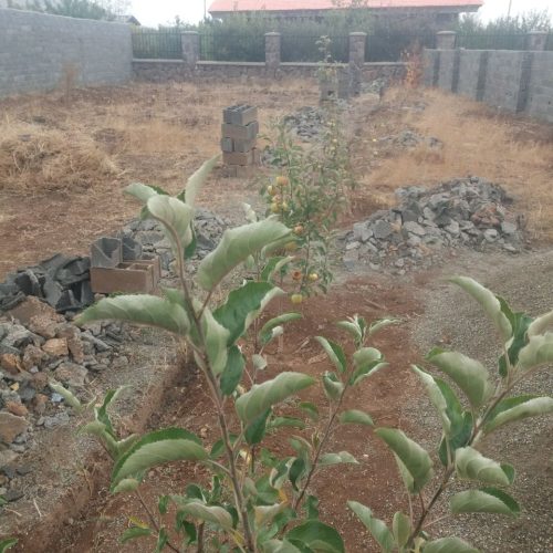 فروش فوری زمین 300 متری چهار دیواری محصور
