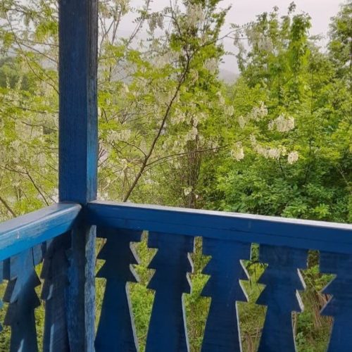 ویلاجنگلی لیان