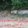 زمین