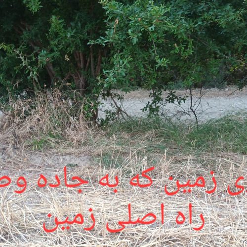 زمین