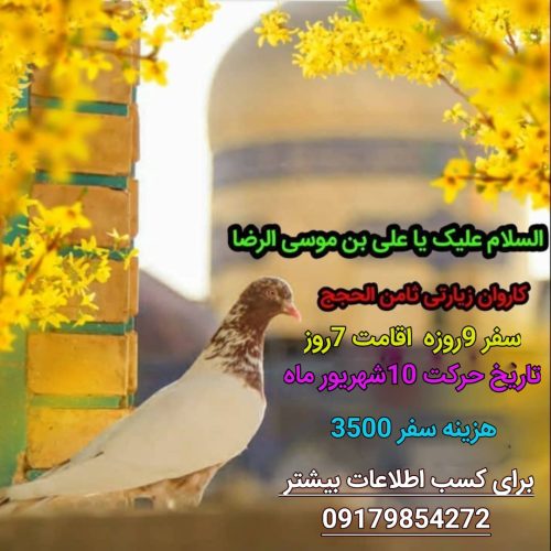 سفر زیارتی مشهد