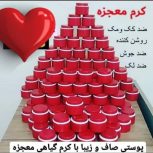 کرم معجزه گیاهی صددرصد تضمینی