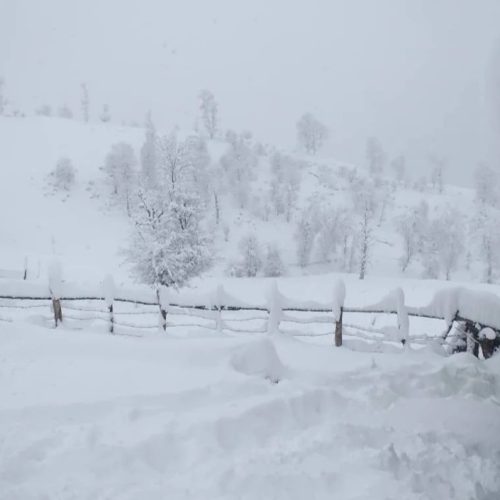 زمین مسکونی واقع در چهاردانگه ساری