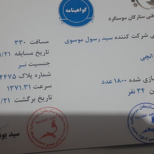 کبوتران مسافت کوتاه، متوسط، بلند