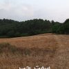 زمین