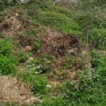 زمین 207 مترمحمود اباد