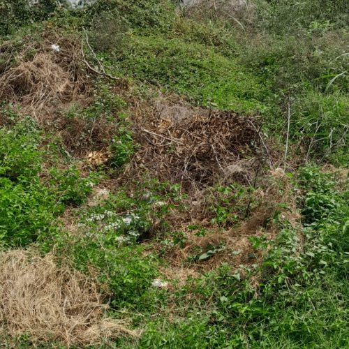 زمین 207 مترمحمود اباد