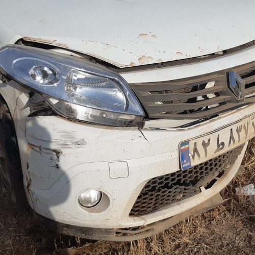 رنوساندرو تصادفی