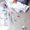 اجاره مغازه بر میدان وحدت