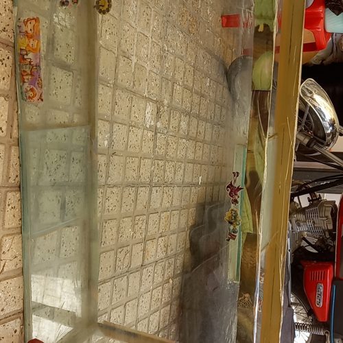 آکواریوم ماهی