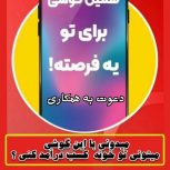 ویزیتور فروشگاه اینترنتی