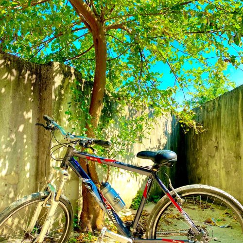 دوچرخه ژیتان سایز27