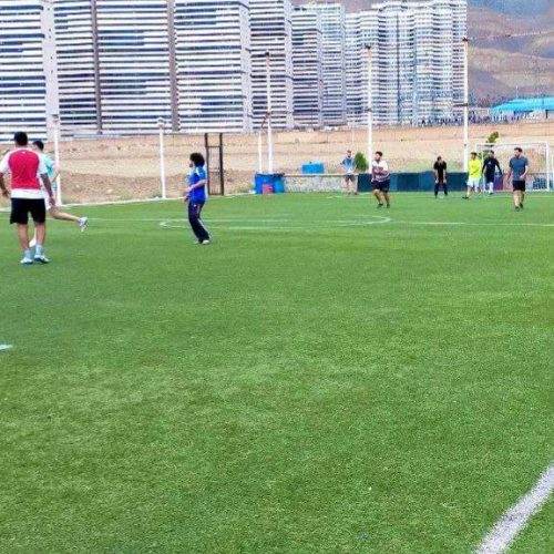 زمین چمن مصنوعی دانش