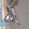 موتور سیکلت ویو 125cc