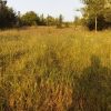 فروش زمین مسکونی در روستای جمال آباد