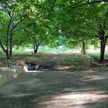 باغ گردو دربند…
