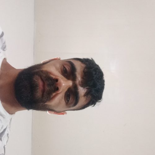 دنبال کار دامداری هستم