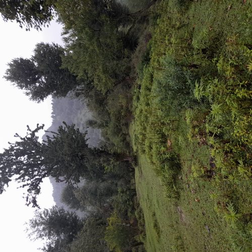 فروش زمین
