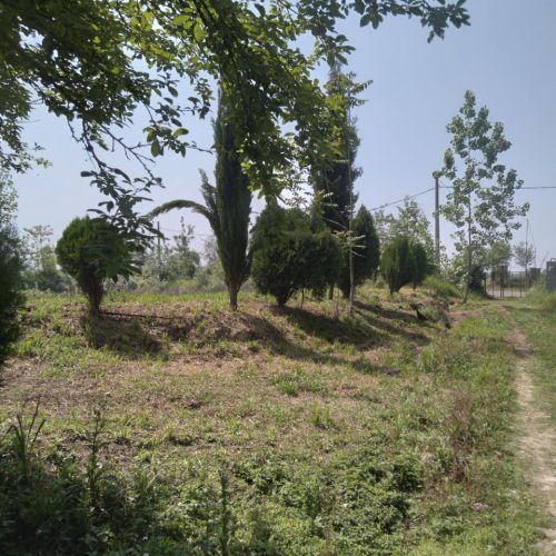 فروش، یک باب خانه ویلایی 13/300متر زمین سندار