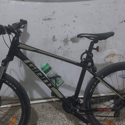 دوچرخه حرفه ای جاینت