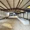 فروش زمین ویلایی مسکونی تجاری زیر قیمت بیوگرافی بخون ضرر نمیکنی برای تاجرین عالیه