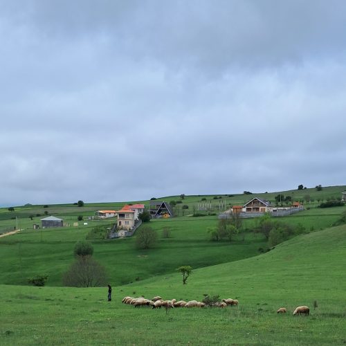 فروش زمین‌در دیلمان