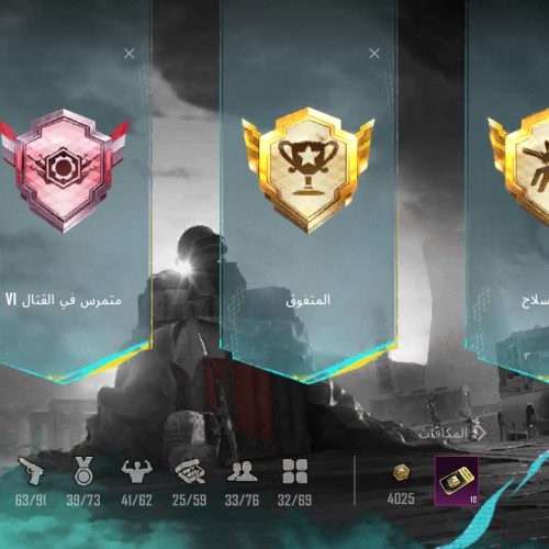 اکانت پابجی لول55+ست های قشنگ