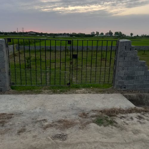 باغ به مساحت 600متر