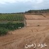 زمین