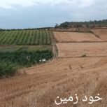 زمین